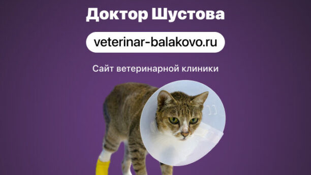 Сайт для ветеринарной клиники доктора Шустовой