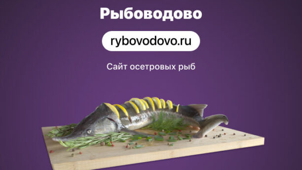 Брэндинг, первый коммерческий нейминг в Балаково, логотип и сайт