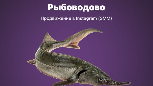 SMM продвижение бренда аквакультуры «Рыбоводово» в Instagram